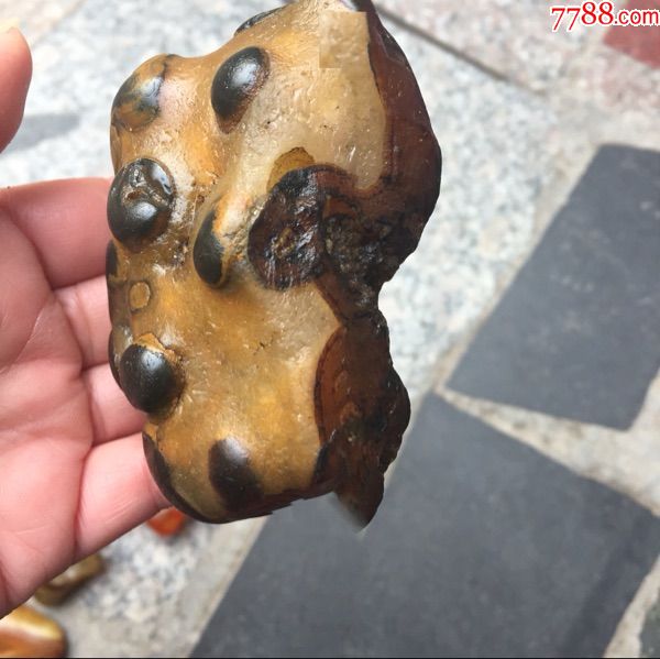 馬達(dá)加斯加瑪瑙原石_價(jià)格300元_第7張_7788收藏__收藏?zé)峋€