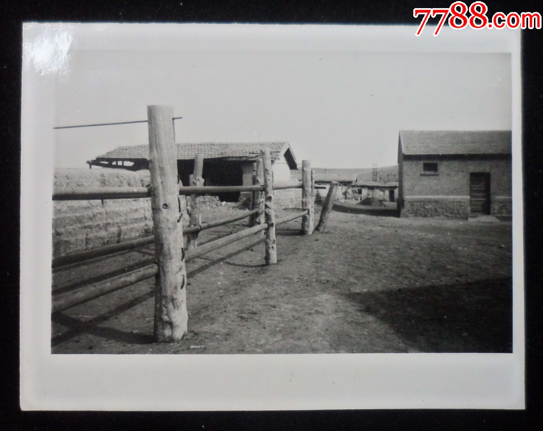 1982年,电影"牧马人"剧组拍摄的当地风情等存档照,山丹军马场_老照片
