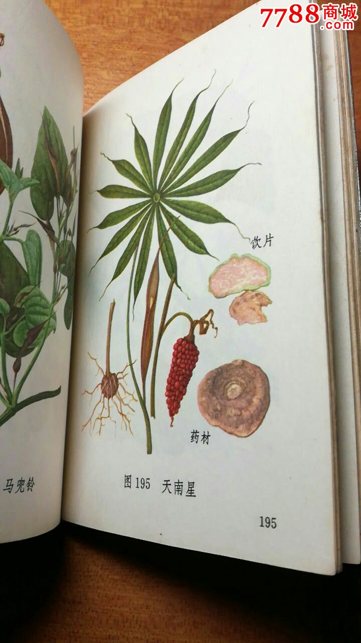 彩图版,常用中草药图谙