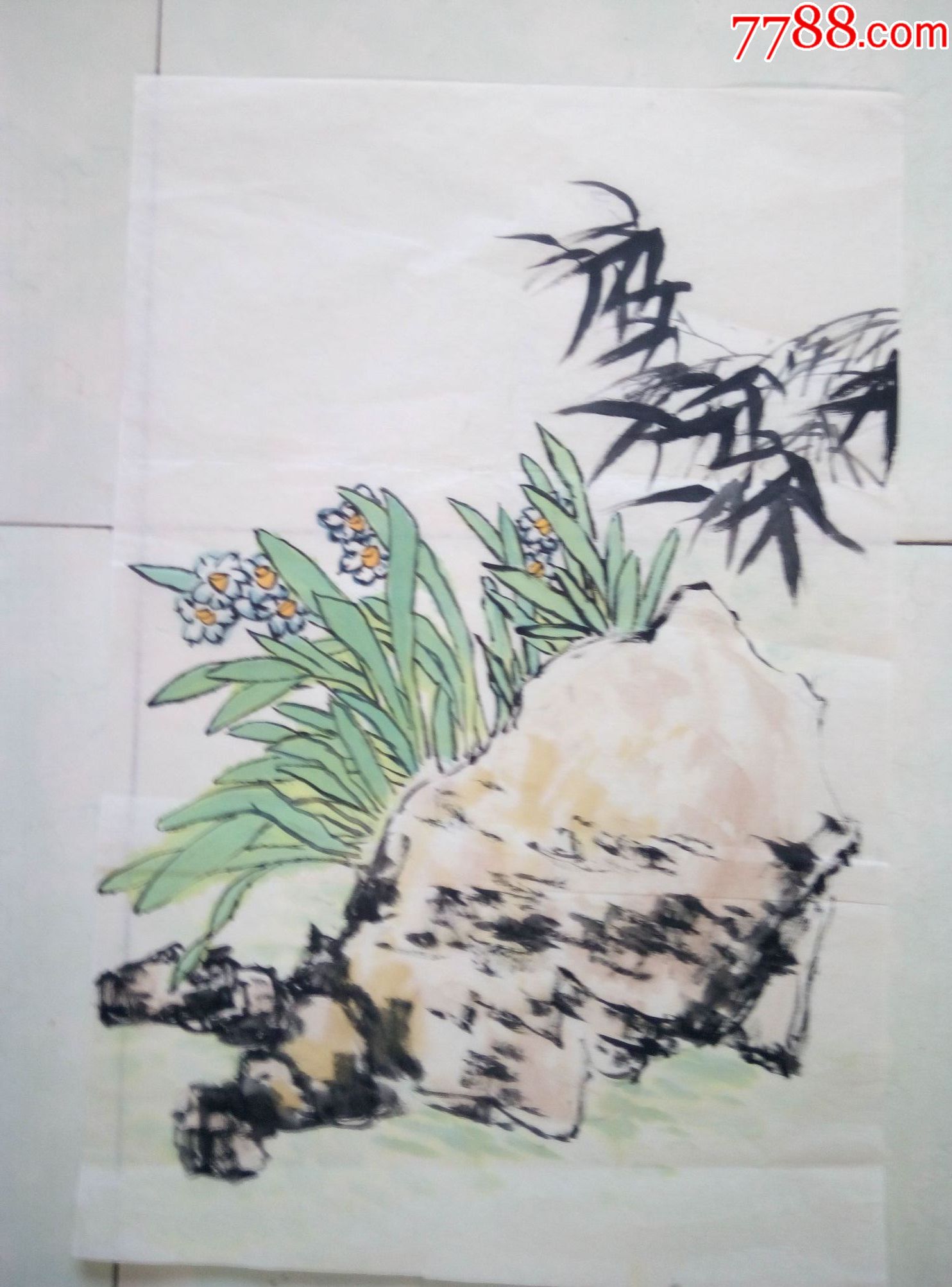 兰花石竹