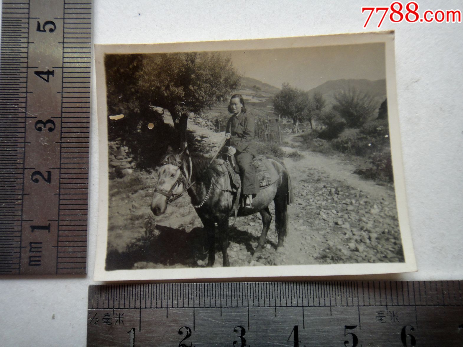 50年代老照片(骑马的女人)