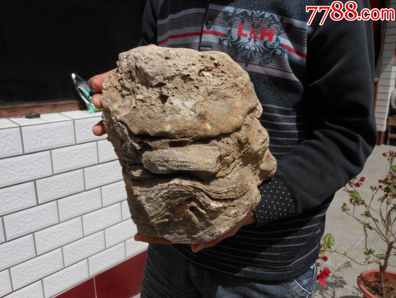 奇石摆件天然原石狮子头23厘米18厘米20厘米重约30市斤