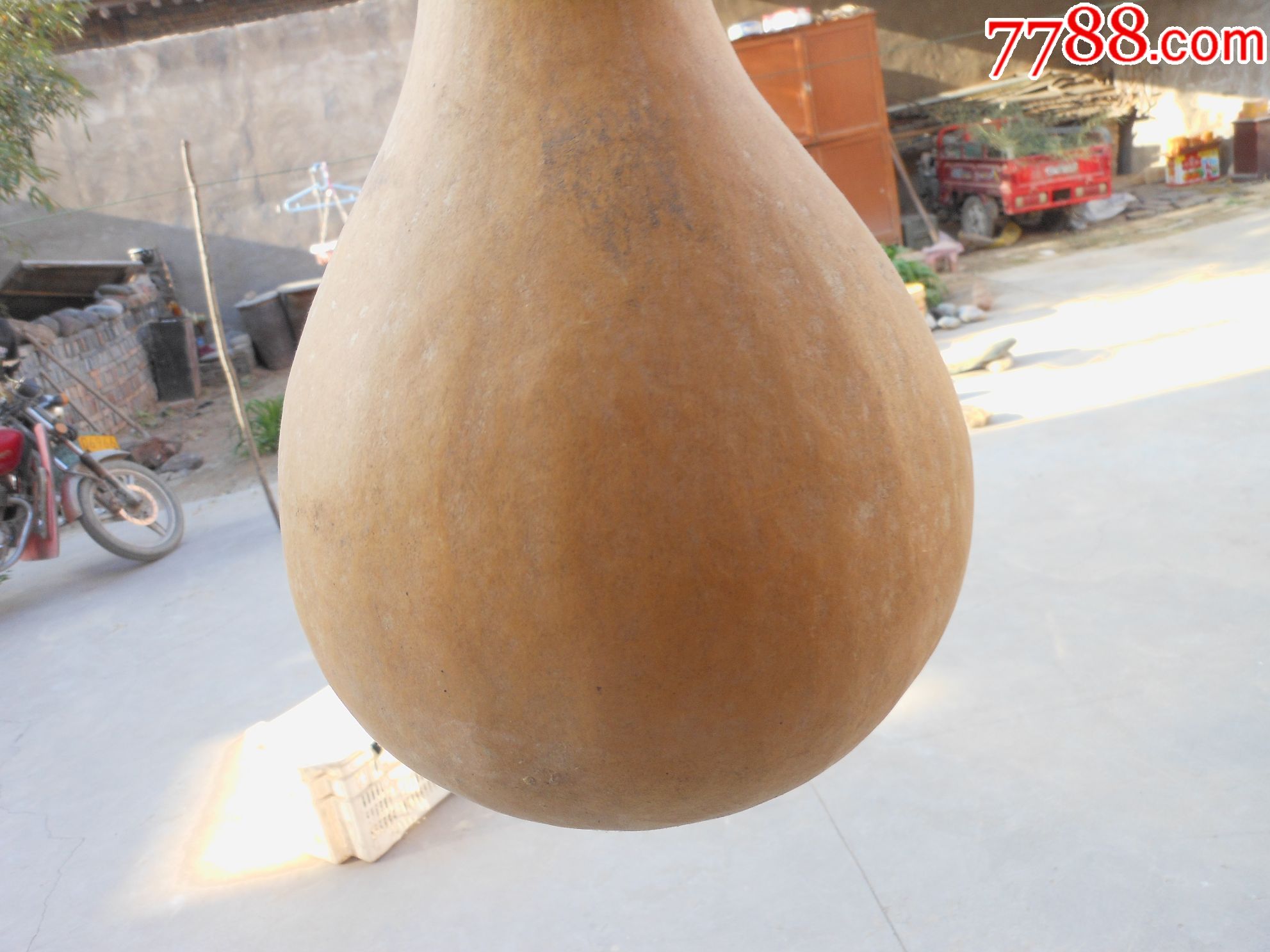 文玩长柄葫芦长70厘米圆直径18厘米