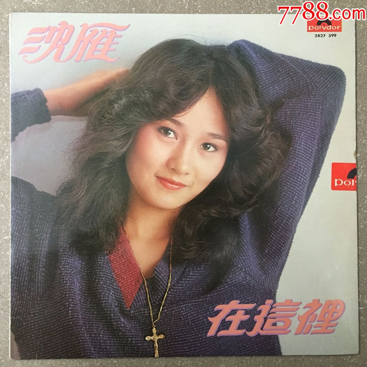 沈雁在这里12寸黑胶唱片lp