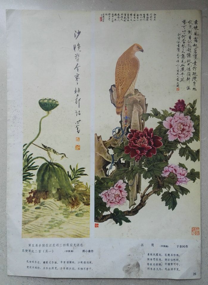 16开国画宣传画荷