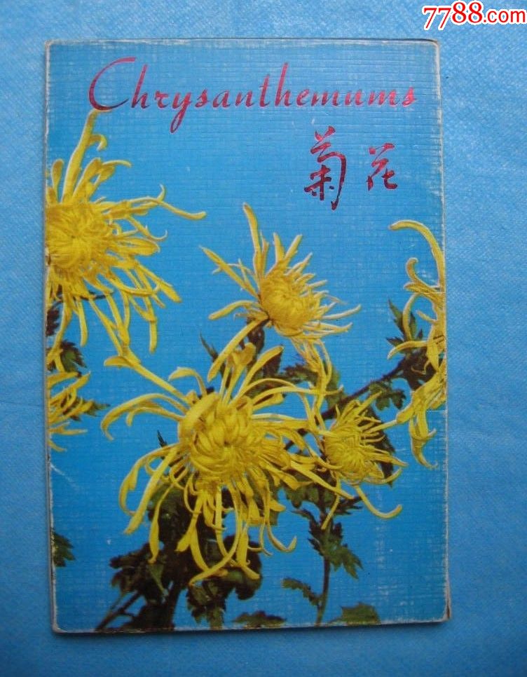 0000元-se51121122-明信片/邮资片-零售-7788收藏__中国收藏热线