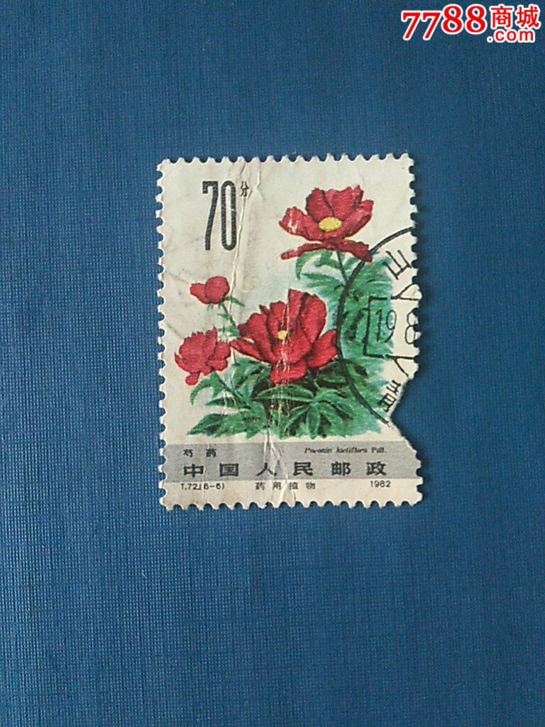 滚动鼠标滚轴,图片即可轻松放大,缩小更多"新中国邮票