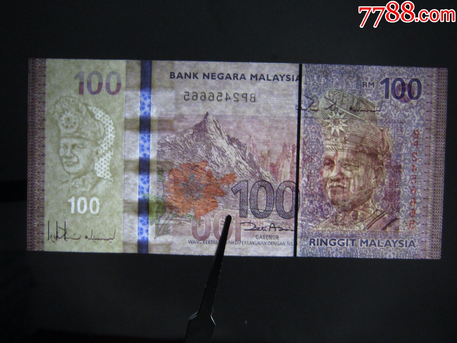 马来西亚币图片大全100图片
