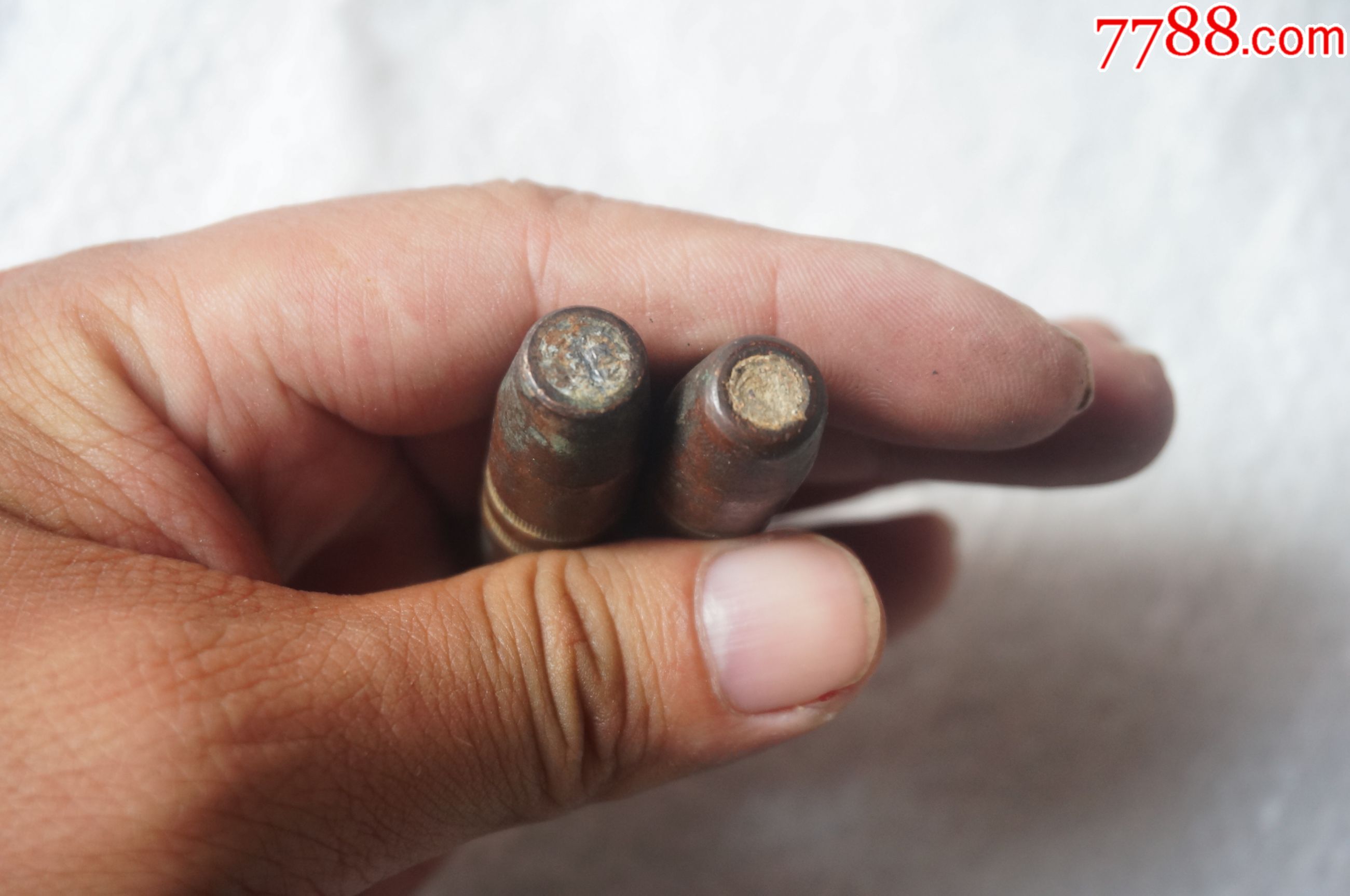 两个日本的铜头