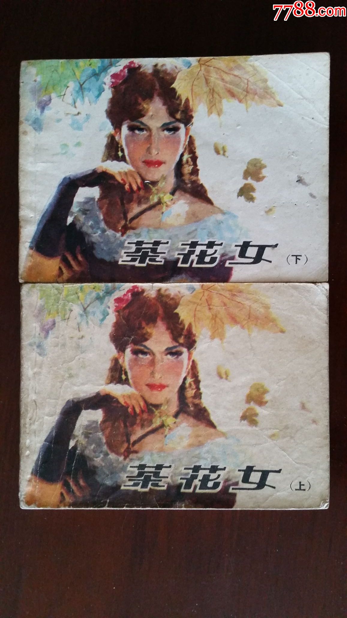 茶花女上下