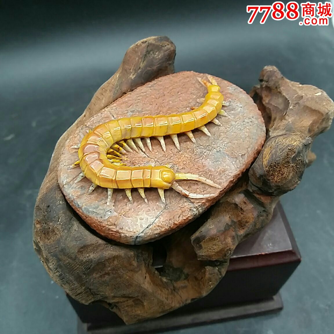 巧雕寿山石杜陵石蜈蚣摆件