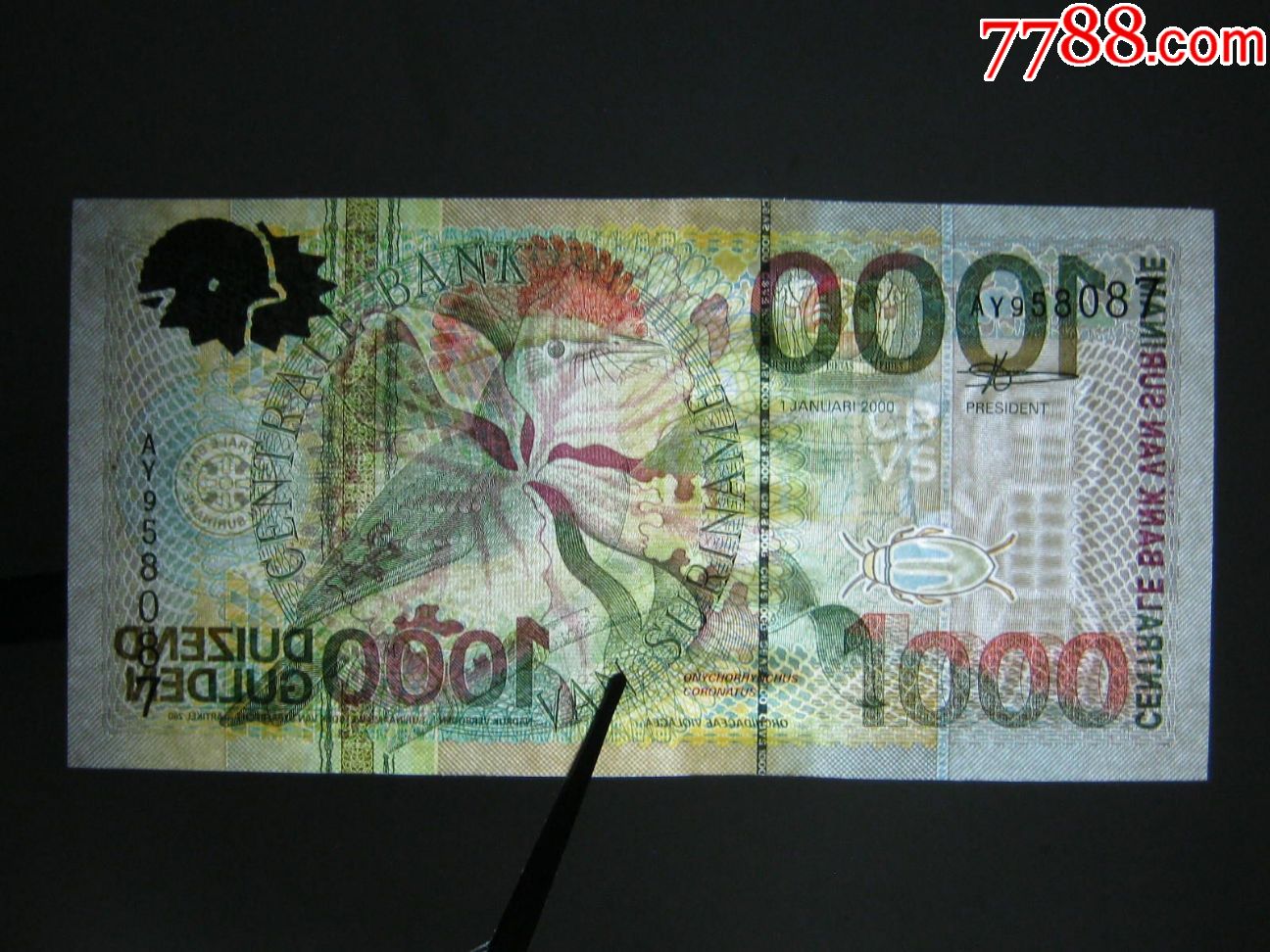 苏里南1000盾2000年 全新