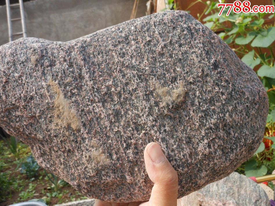 奇石摆件;天然原石观赏石晋南金彩石金光闪闪34厘米*12厘米*6厘米重约