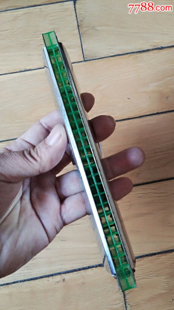 老天鹅,口琴