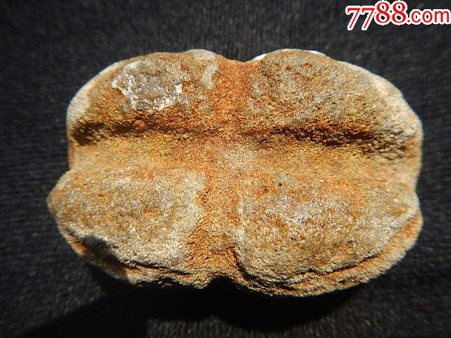 四枚春秋战国石质渔网坠