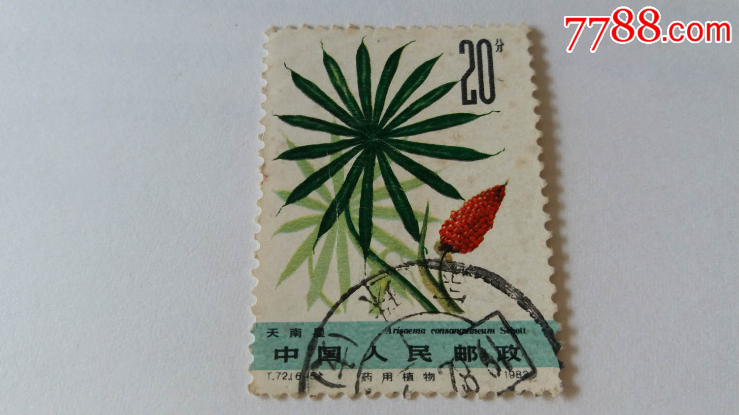 t72药用植物【6-5】信销邮票中国名花大全