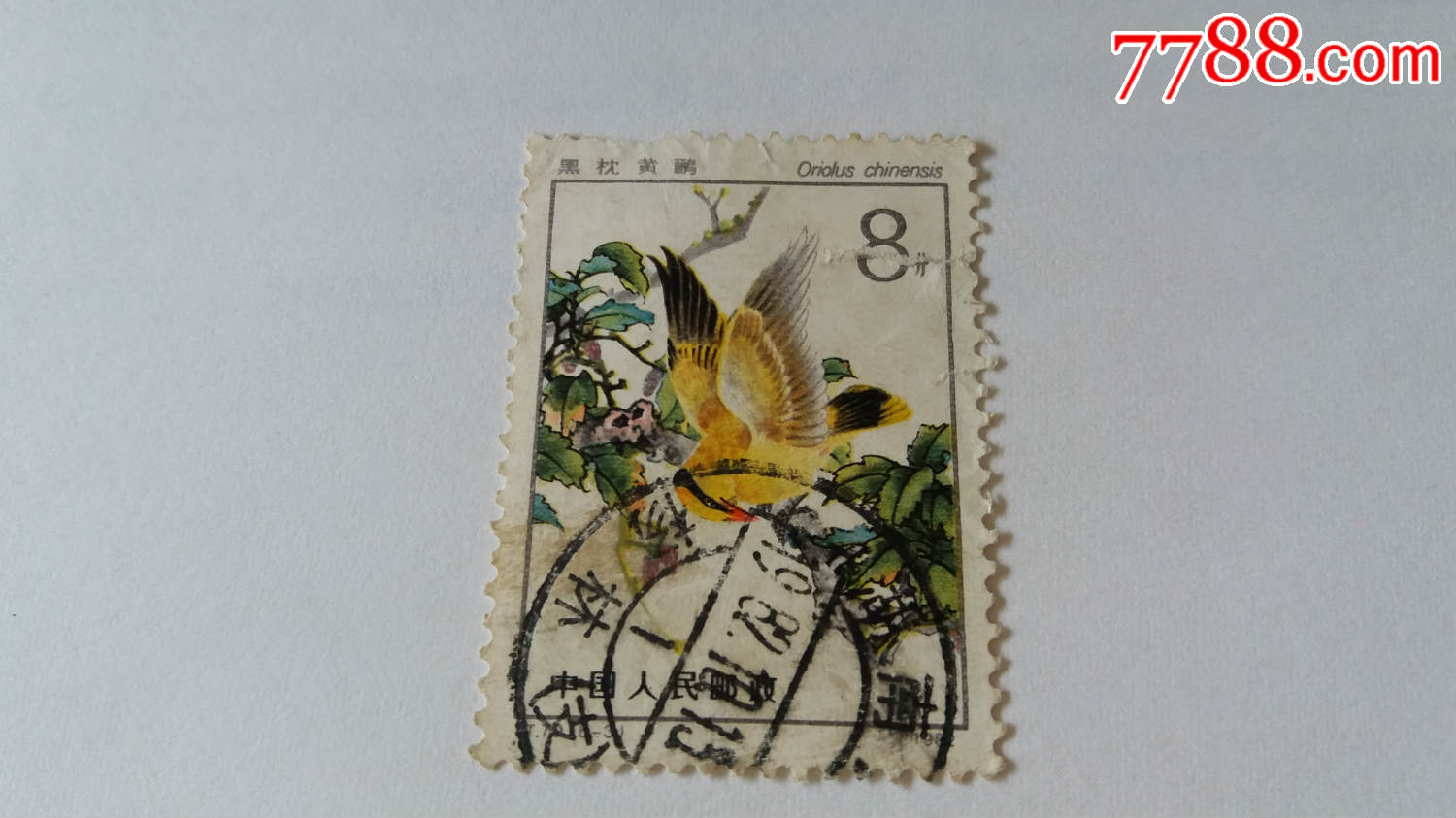 t79益鸟53信销邮票