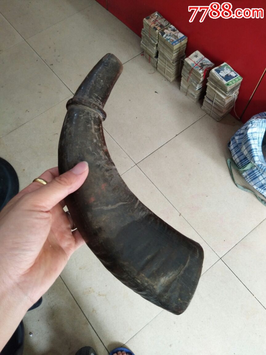 道家法器牛角号角一把