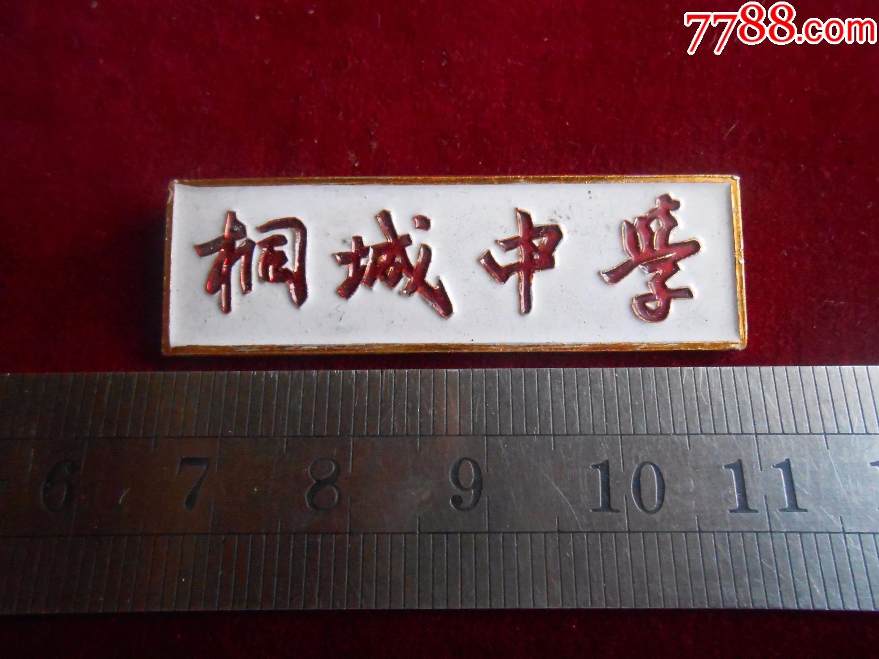 桐城中学徽章-se52003909-校徽/毕业章-零售-7788收藏__收藏热线