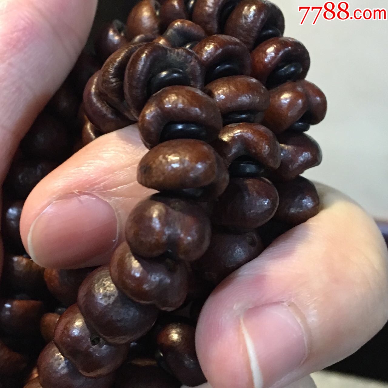 紫金钵盂菩提