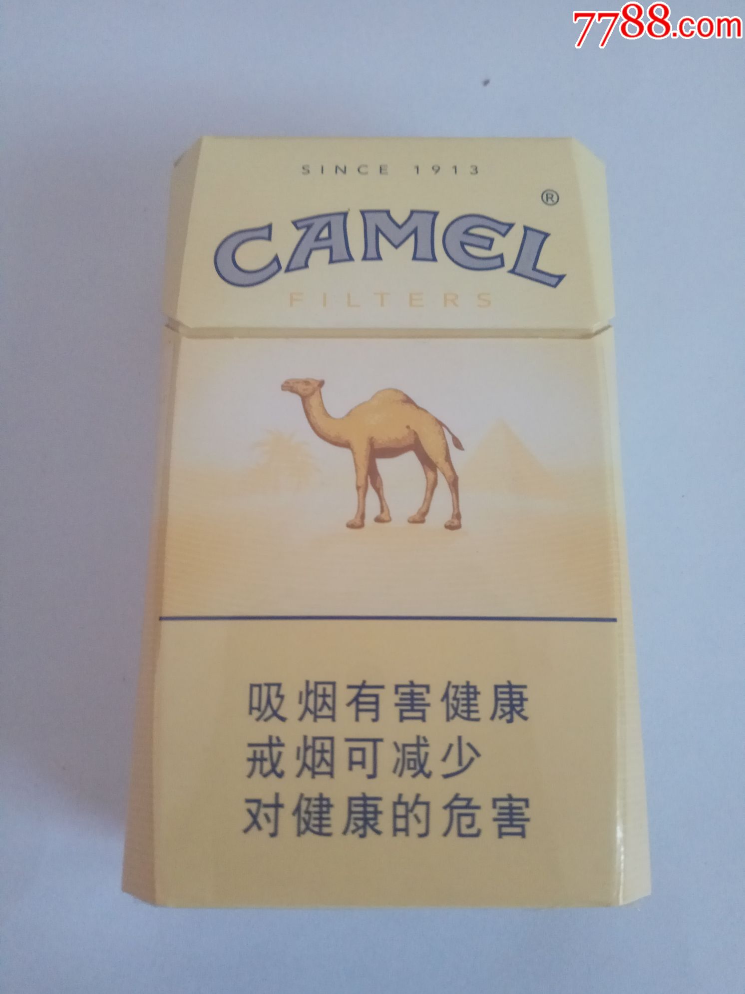 日本烟骆驼图片