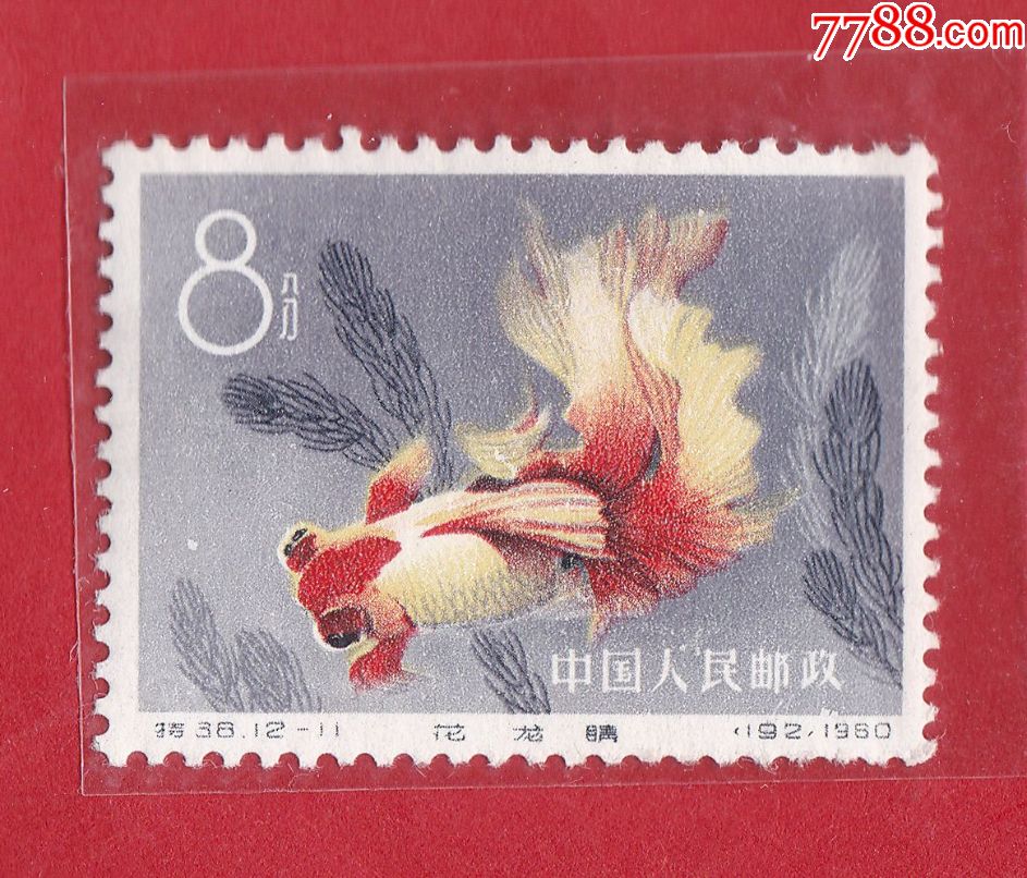 特38金鱼邮票全