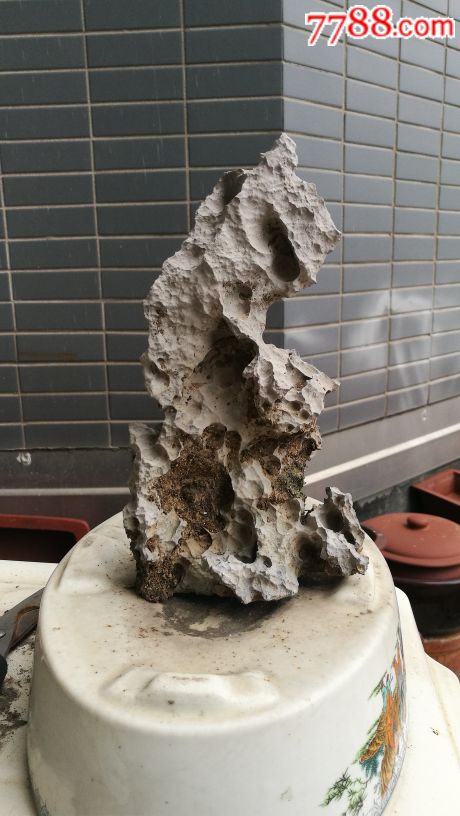 一块盆景石头,喜欢怎么弄都不错