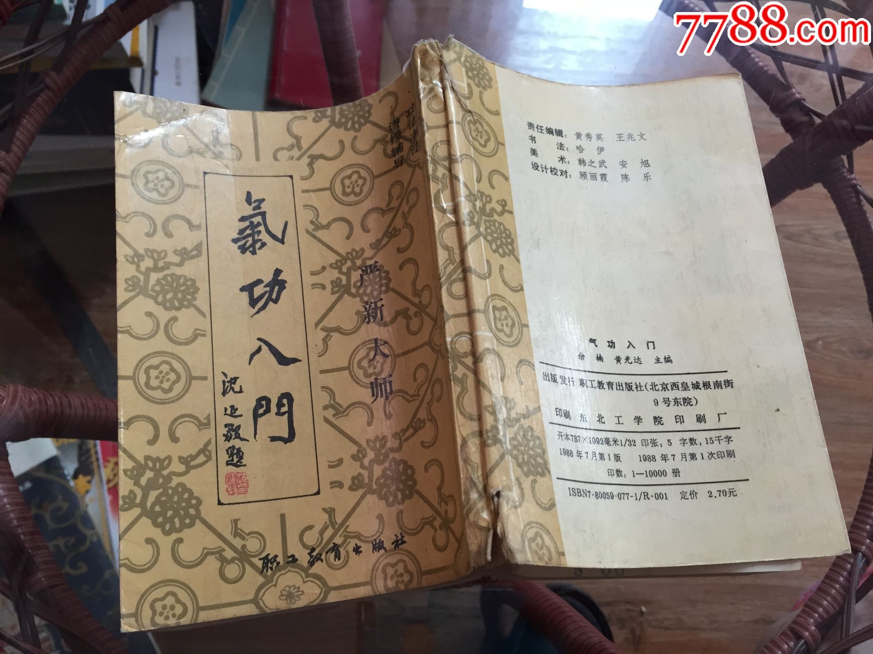 气*入门(严新大师,功法书法讲授辅导)