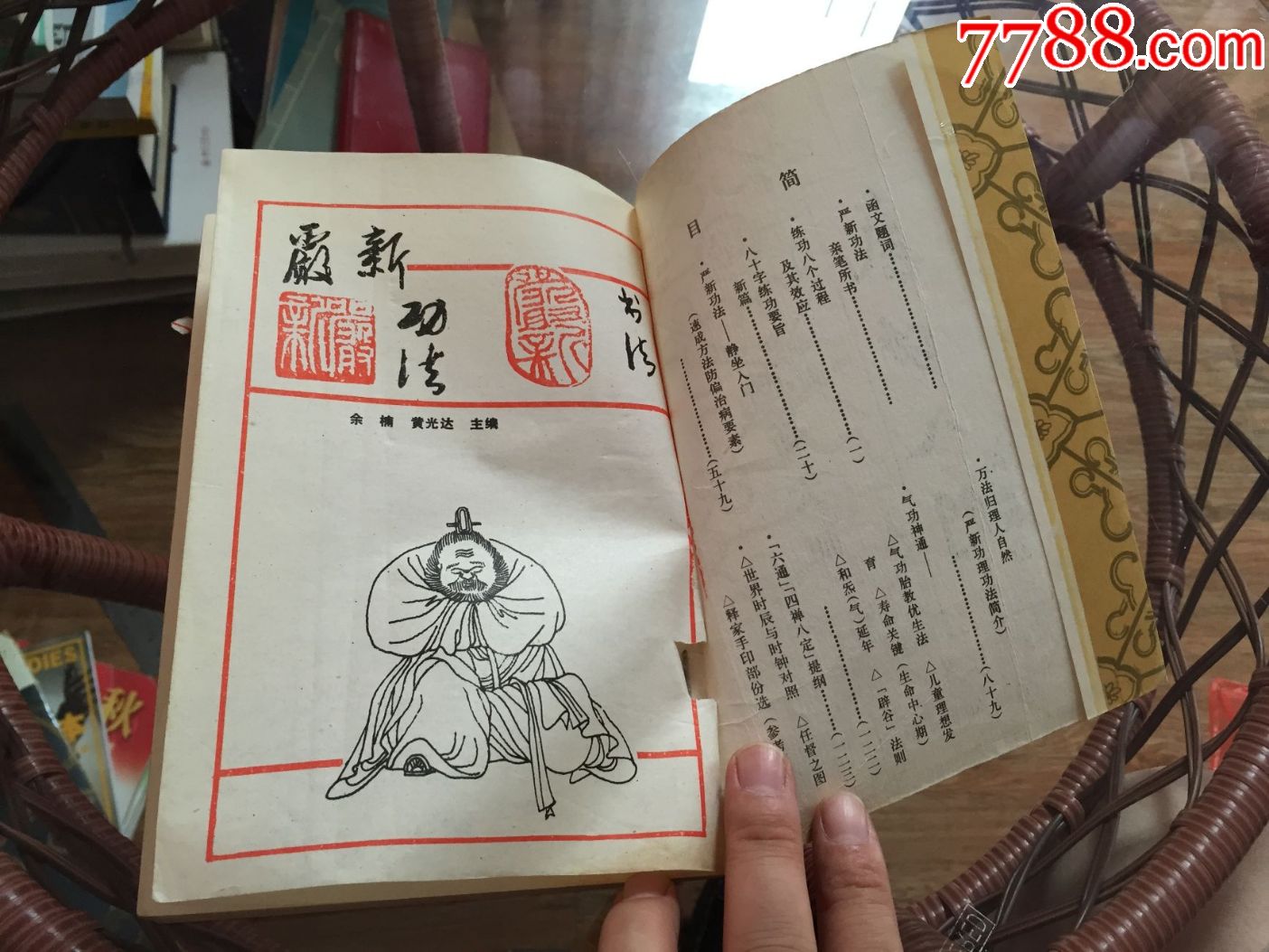 气*入门(严新大师,功法书法讲授辅导)