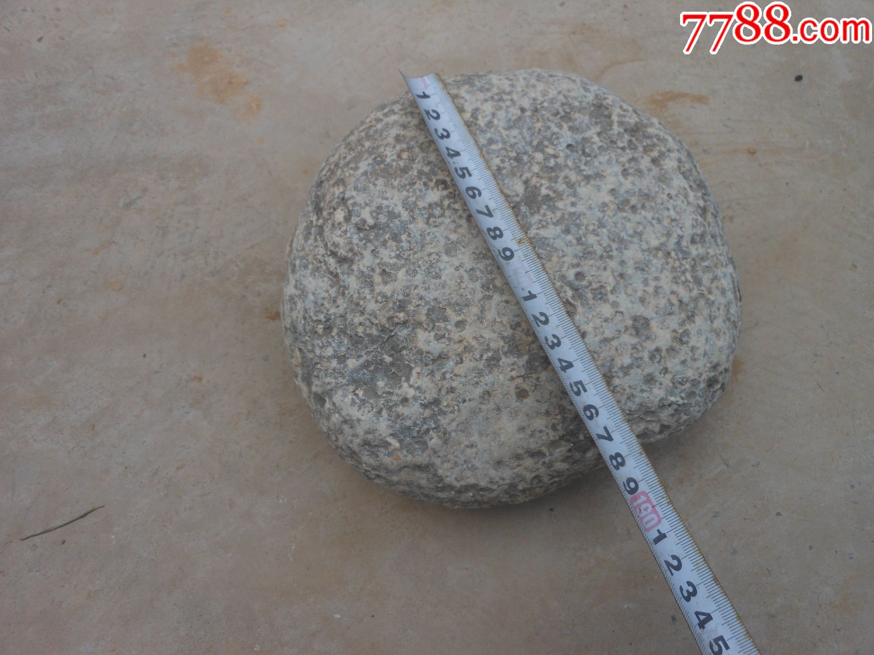 奇石天然原石晋南鱼籽石22厘米20厘米7厘米重约1350市斤