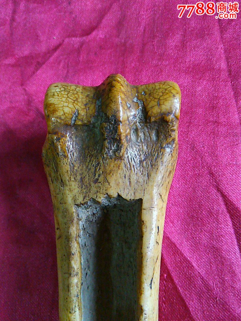 清代药店中医用骨雕大药匀