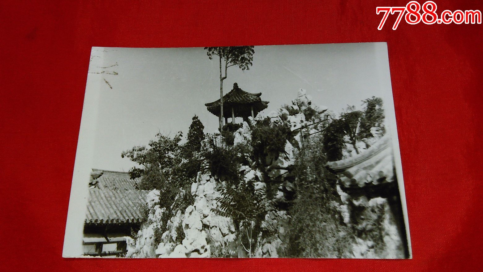 70年代末老照片[山东潍坊十笏园]