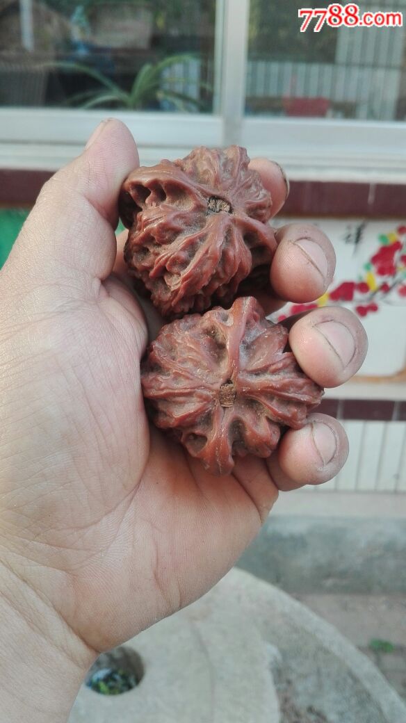 四个树脂核桃.