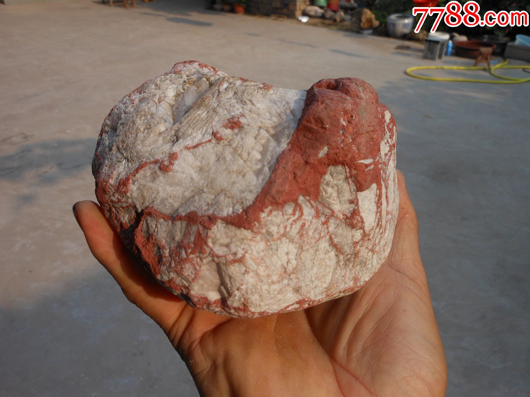 奇石摆件天然原石观赏石红白分明14厘米12厘米7厘米重约460市斤不透