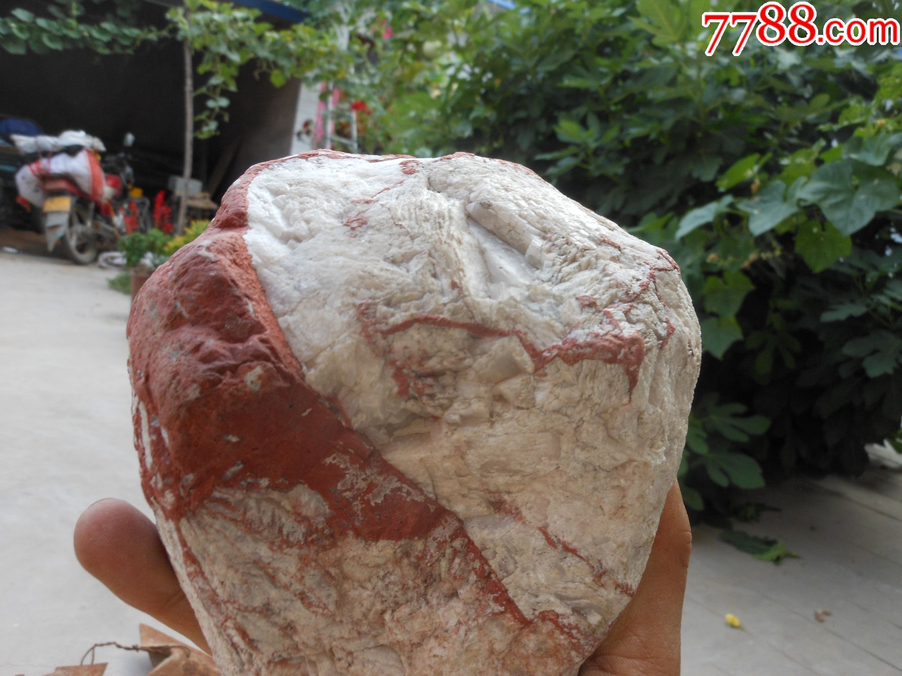 奇石摆件天然原石观赏石红白分明14厘米12厘米7厘米重约460市斤不透