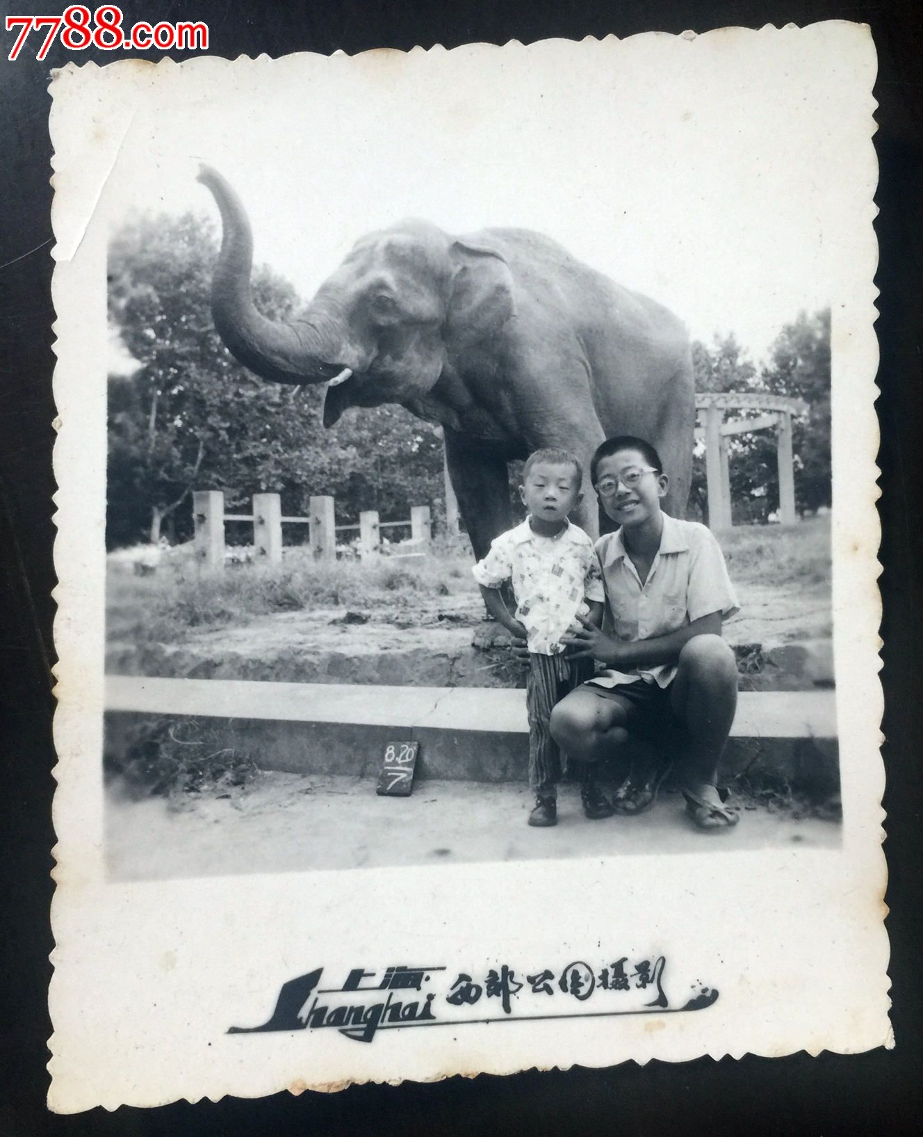 早期儿童在上海西郊公园合影照_价格5元【精文老照片收藏馆】_第1张