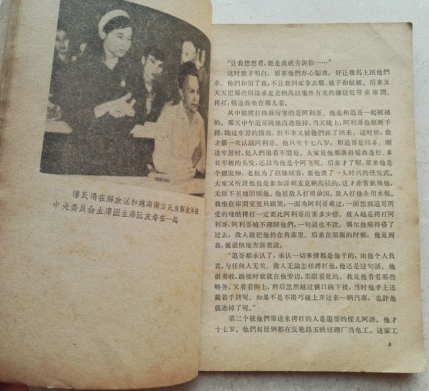 1965年小说《象他那样生活》