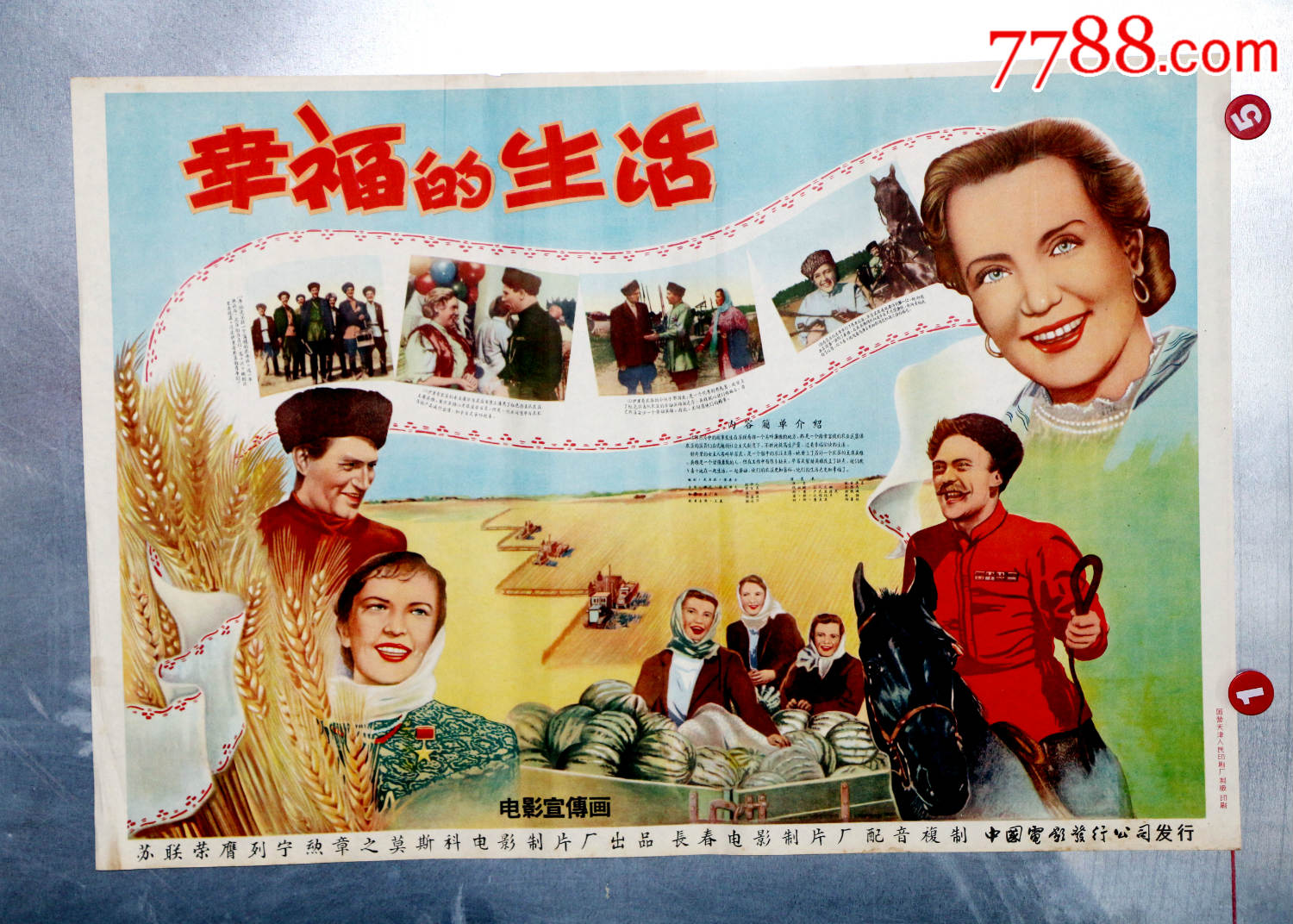 幸福的生活-电影海报-7788电影海报