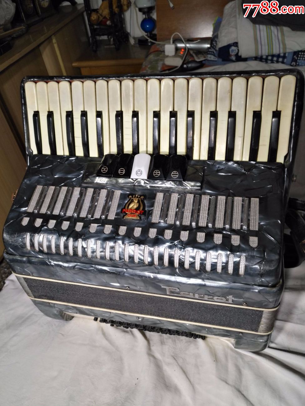 鹦鹉牌60贝斯手风琴