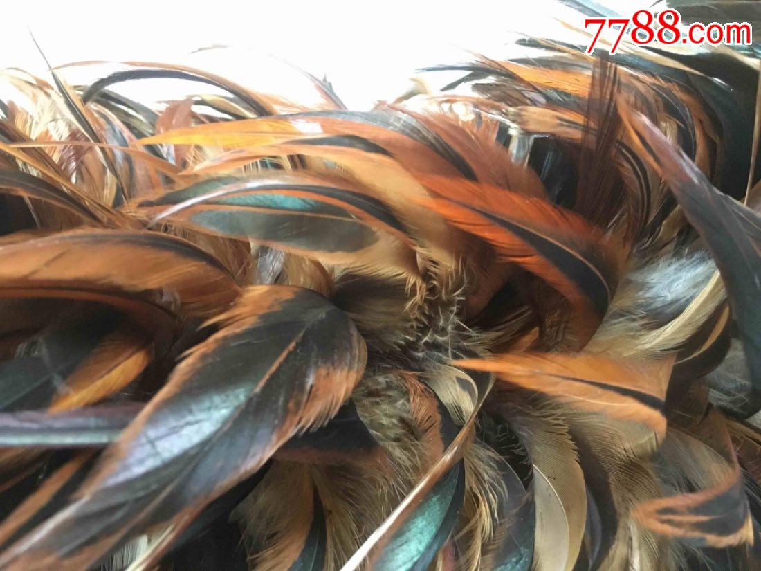 羽毛/毛制品_警泉古方圆【7788收藏__收藏热线】
