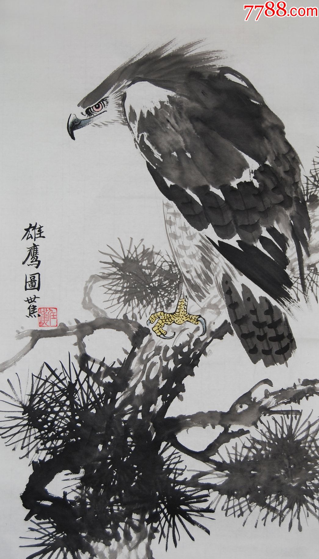 国画鹰