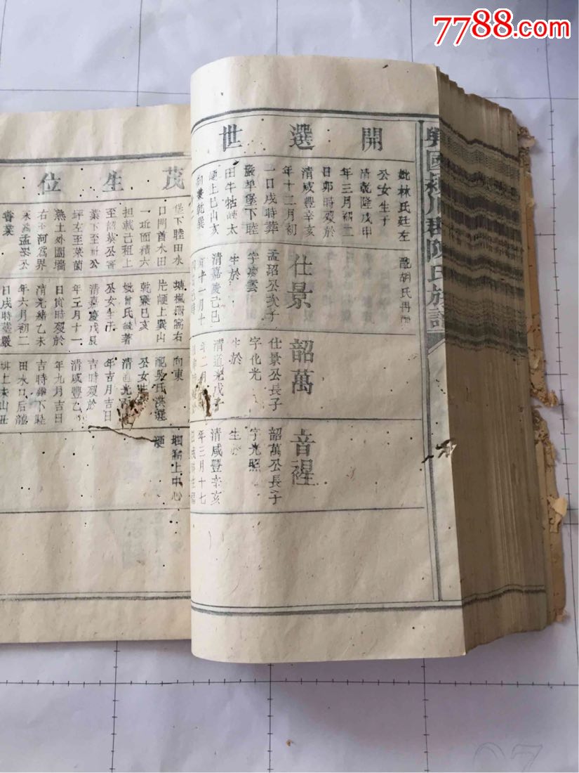 晚清__民国时期颍川郡陈氏族谱超大超厚本