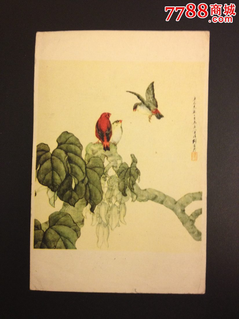 珍珠鸟刘奎龄作