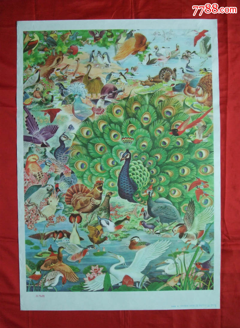 百鸟图----发行量2万册-se30456944-年画/宣传画-零售-7788收藏__收藏