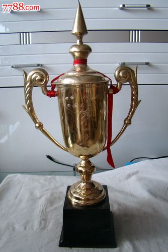 第一名奖杯一个(金属材质)