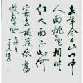 著名书法家卢道清作品