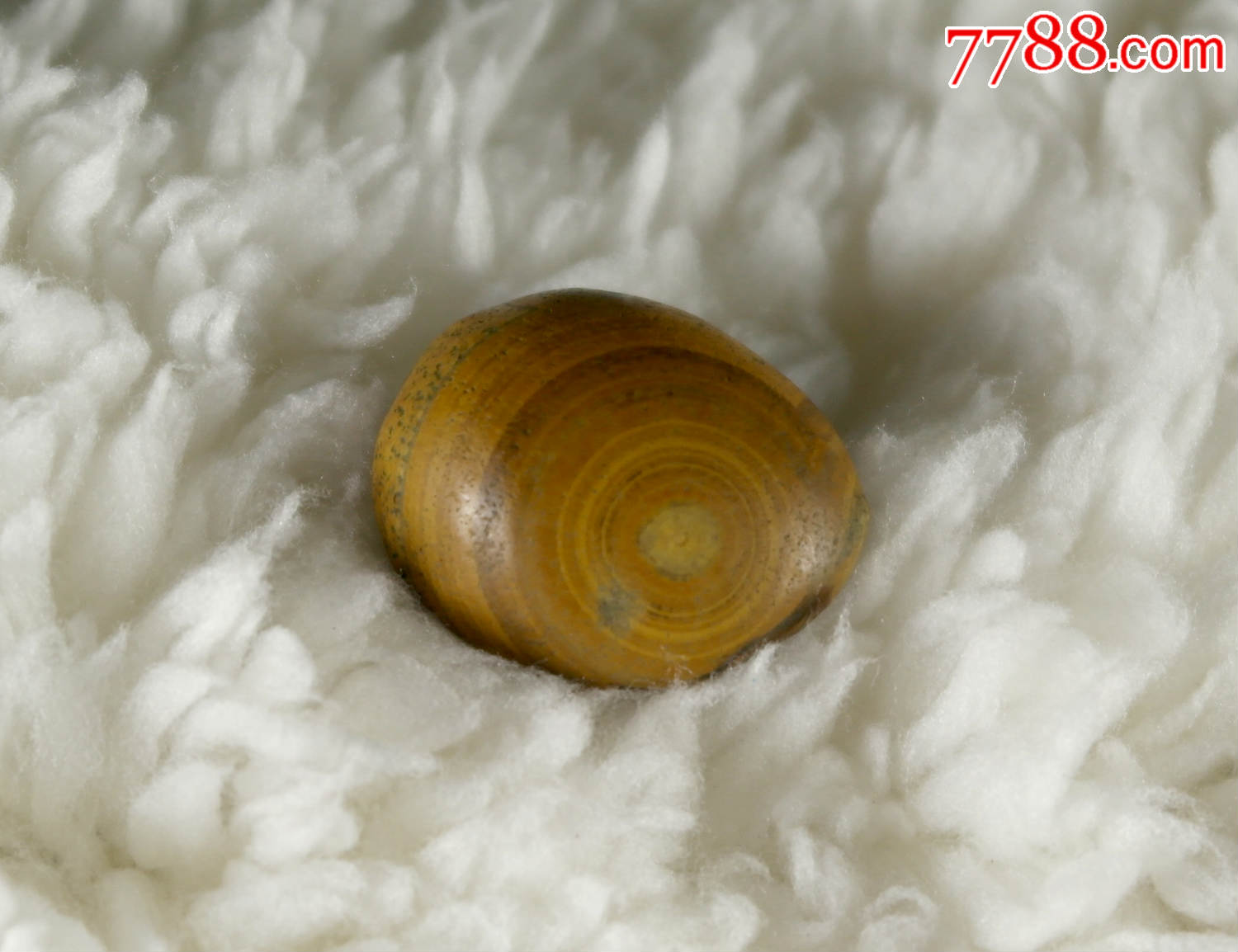 九眼石天然戈壁眼睛石玛瑙奇石金钱石钱币石007