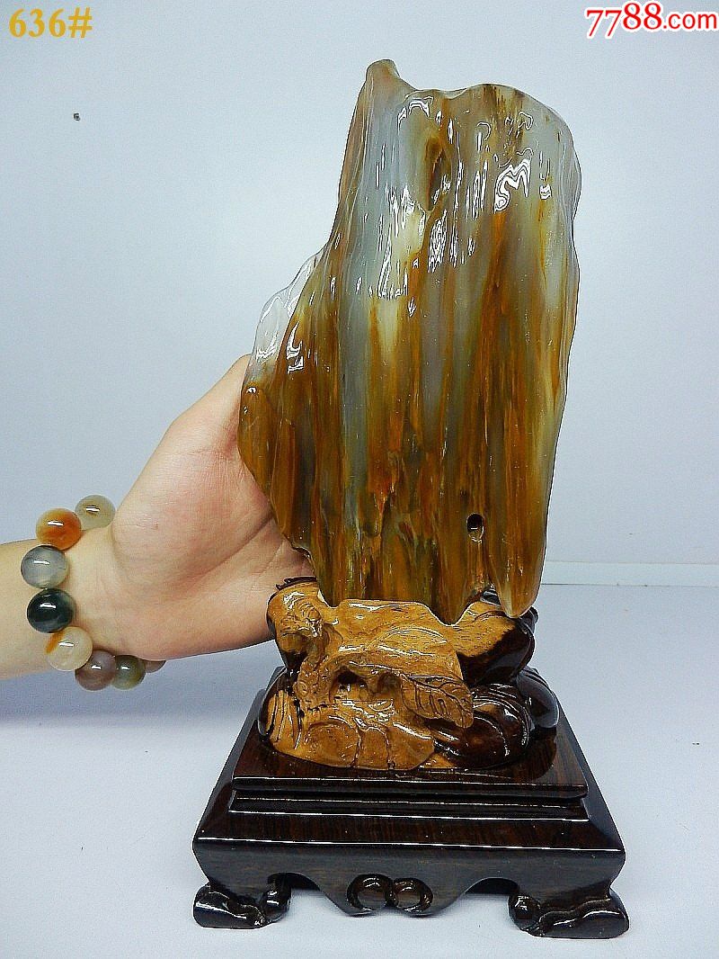 老坑冰种树化玉收藏极品亿年木化玉玉石精品植物舍利特价包邮