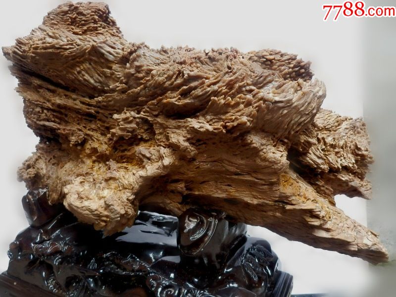 亿万年树木化石树化玉摆件天然原石硅化木奇石收藏木化石特价-价格