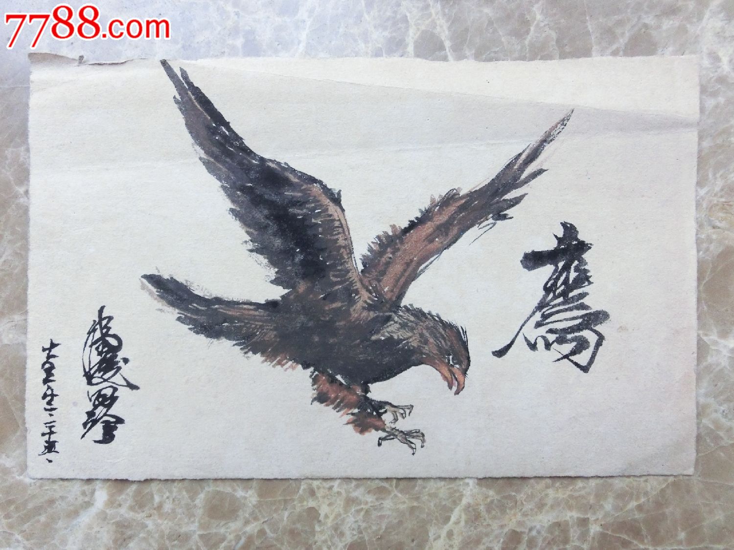 鹰-价格:150元-se49666768-水粉/水彩原画-零售-7788书画网